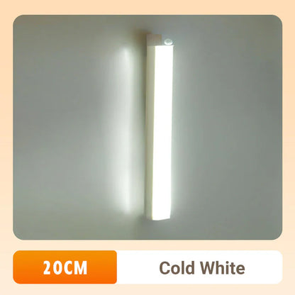 🔥2025 Hot Sale 49% Off🔥LED Smart Magnetic Human Body Sensor Light