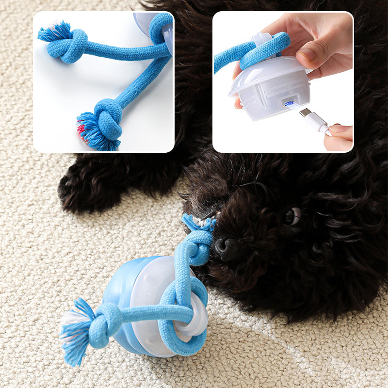 🎁Meet Christmas 50% OFF🎄Interactive Electronic Pet Soothing Toy Ball